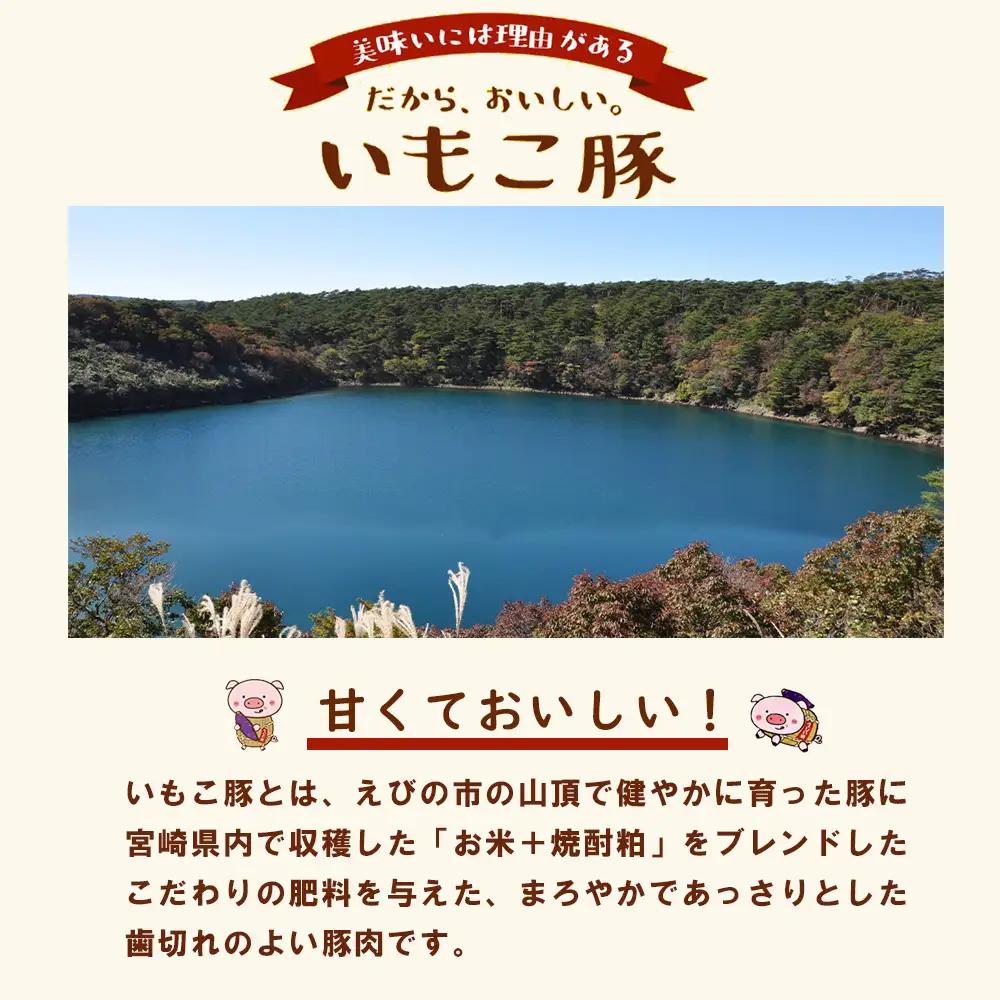 豚肉 宮崎県産 いもこ豚 焼肉 セット 2.1kg 切り落とし 小分け 豚 豚バラ バラ ロース 肩ロース スライス 小間切れ 焼肉用 焼き肉 BBQ 鉄板焼き 豚丼 国産 九州産 宮崎 ブランド 冷