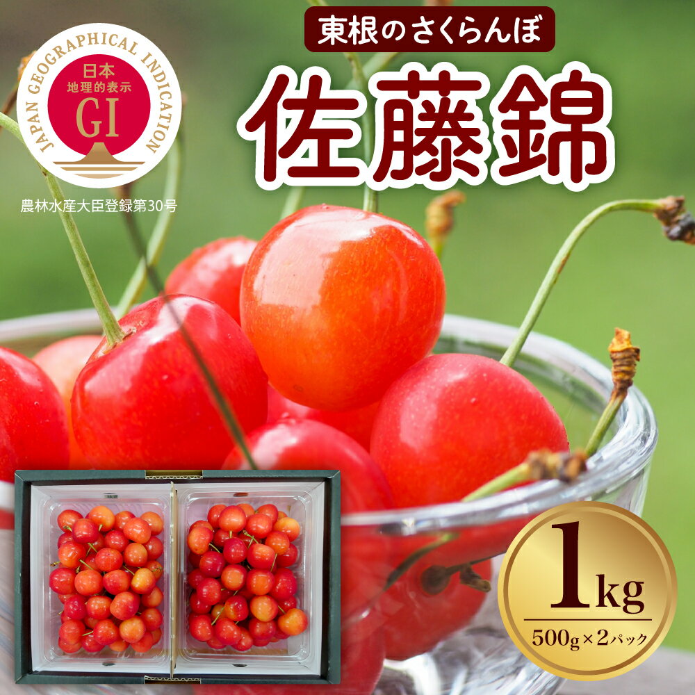 【ふるさと納税】【2026年産 先行予約 】山形東根市産 GI さくらんぼ「 佐藤錦 」1kg フルーツ 果物 くだもの サクランボ チェリー 小分け 箱入り 化粧箱 期間限定 冷蔵配送 大容量 ご当地 特産 産地 直送 お取り寄せグルメ 東北 山形県 東根市
