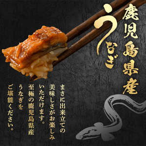 東串良町 うなぎ蒲焼カット(80g×2P)ときざみ鰻(60g×2P)のおためしセット 高級 ウナギ 国産 たれ 鹿児島 ふるさと 人気【アクアおおすみ】【12030】