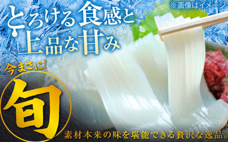 ヤリイカ お刺身用 1kg 《対馬市》【海風商事】 小分け 刺身 いか イカ ヤリイカ 新鮮 海鮮 冷凍[WAD054]