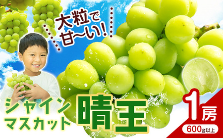 【2026年発送】シャインマスカット【晴王】 1房 (600g以上) 株式会社Myself シャインマスカット
