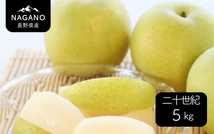
                  MS37 梨 二十世紀（長野県産秀品） 約5kg /2026年9月上旬～9月下旬頃 配送予定 // 長野県 南信州 梨 なし ナシ 二十世紀 20世紀 贈答
                