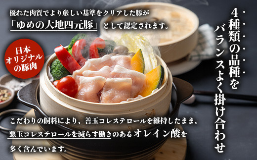 【北海道ブランド豚】「ゆめの大地」 豚ローススライス 200g×10パック