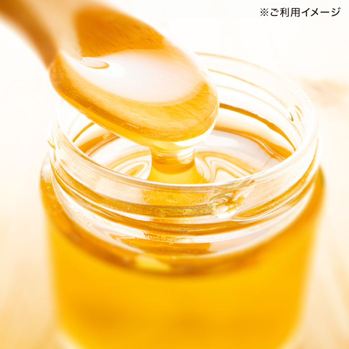【4種から選べる】 長崎県産天然はちみつ600g×2本セット / 百花蜜 百花蜂蜜 蜂蜜 はちみつ ハチミツ / 諫早市 / 坂口養蜂 [AHDB003]