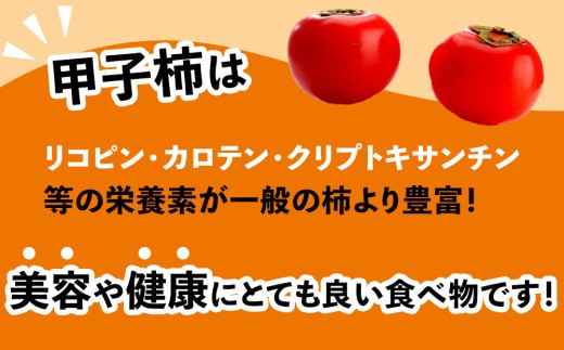 fc-80-001 甲子柿 4個 《10月中旬頃から順次発送予定》 甲子柿の里生産組合
