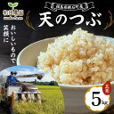 【ふるさと納税】【先行予約】2024年産 福島県鏡石町産 和田農園「天のつぶ」玄米 5kg 米 コメ こめ F6Q-090