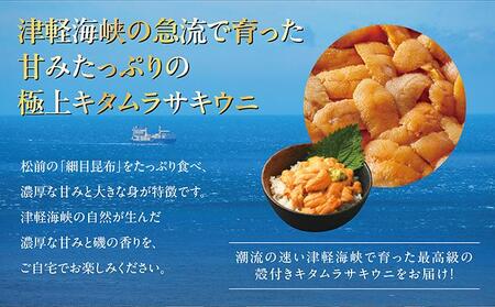 【期間限定】[北海道産] 天然殻付きキタムラサキウニ 2kg 「2026年6月以降順次発送」 MATB012