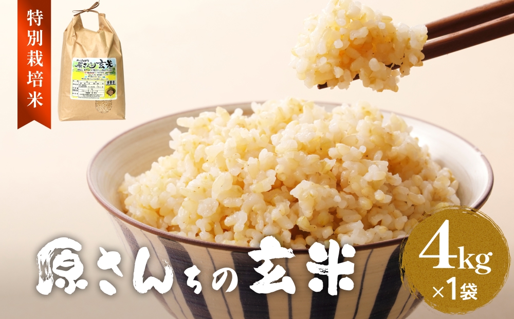 《先行予約》令和7年度産 原さんちの玄米 玄米 4kg 3種の中からいずれか1種お届け ひとめぼれ ヒノヒカリ にこまる 有機質肥料 特別栽培米 原農園 完熟堆肥 アートテン農法 抗酸化農法 有効微生物農法 光合成 体に良い 美味しい お米 安全 清潔 環境に優しい 栄養価 高品質 産地直送 健康志向