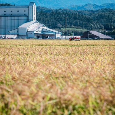 ふるさと納税 井川町 【令和7年産】あきたこまち(精米)5kg×2袋　計10kg　秋田県井川町 |  | 01