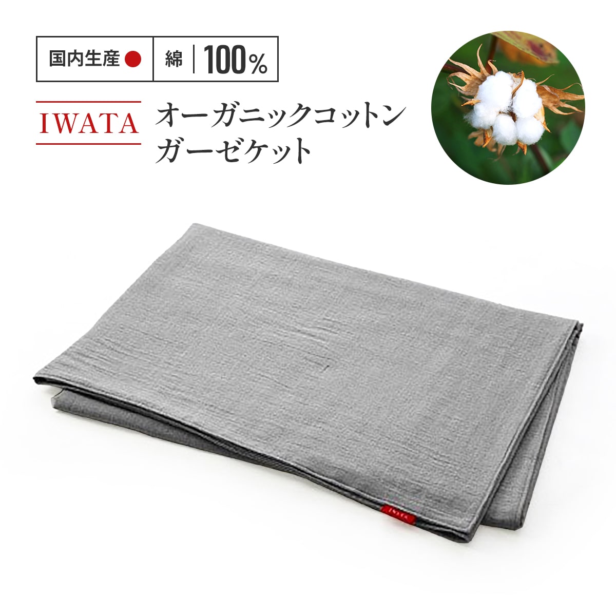 【ふるさと納税】IWATA　オーガニックコットン　ガーゼケット　毛布　ブランケット　タオルケット　AA003