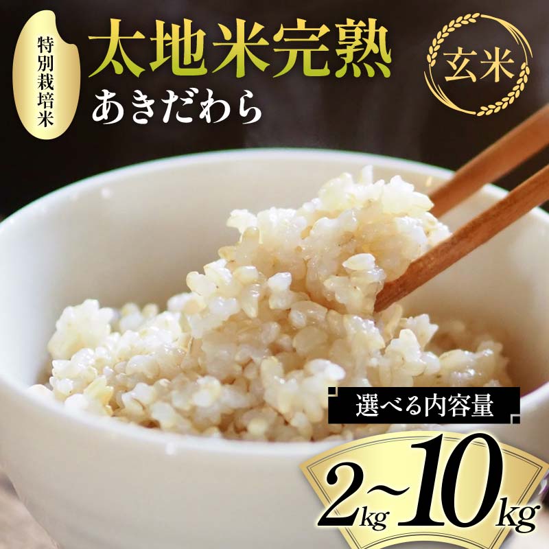 【ふるさと納税】＼選べる内容量／ 2024年産 特別栽培米 太地米完熟 【あきだわら】 玄米 2kg 3kg 5kg 10kg ブランド米 お米 人気 F7X-0307var