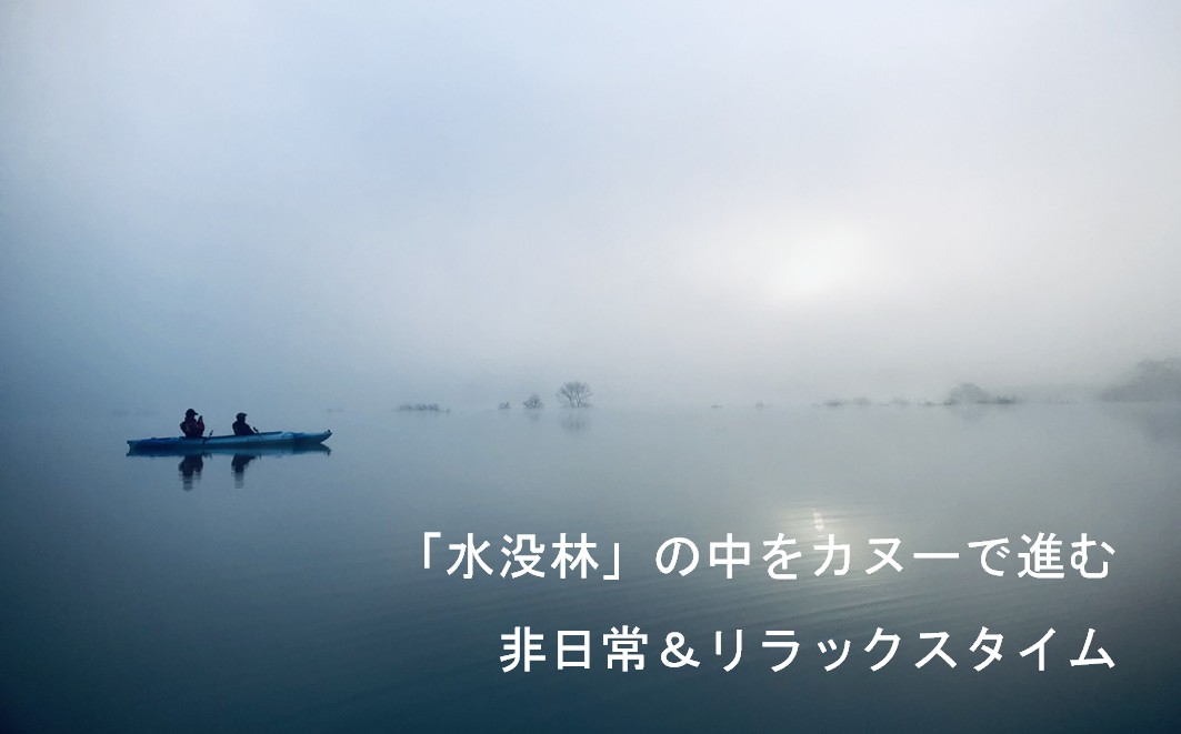絶景 水没林カヌープレミアムツアー（10名様）癒しの自然満喫プレミアムアクティビティ　※3月下旬から5月下旬