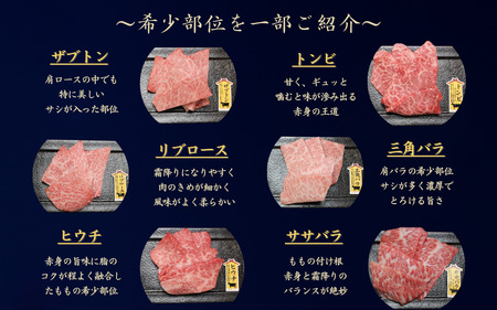 【黒毛和牛 希少部位入 焼肉セット】6種盛 600g  焼肉セット
