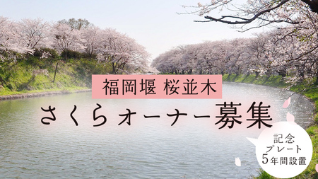 【 福岡堰 桜並木 】さくらオーナー募集【5年間・記念プレート設置】 桜 オーナー オーナー制度 権利 環境保全 自然保護 桜保全管理 地域貢献 祝 記念 記念撮影 写真撮影 記念写真 思い出 フォト 誕生 七五三 ウェディング 結婚 銀婚 金婚 入園 入学 卒業 栄転 定年 還暦 古希 喜寿 傘寿 米寿 白寿 百寿 長寿 願い 決意