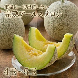 アールスメロン 4玉～5玉 秀品 メロン 高級メロン フルーツ 果物