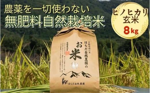 米 令和7年産 自然栽培米 ヒノヒカリ ＜農薬を一切使わない無肥料栽培＞ 玄米8kg　《京都丹波産 最高良食味 人気品種》