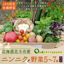 【ふるさと納税】【JAS認定有機野菜】北斗市産 ニンニクと野菜5～7種類野菜セット 紙箱入(季節で種類が変更) 【 ふるさと納税 人気 おすすめ ランキング ニンニク にんにく 国産ニンニク 野菜 旬 セット 有機野菜 無農薬 有機栽培 北海道 北斗市 送料無料 】 HOKB022