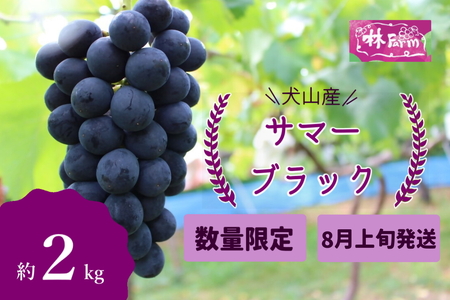 【予約受付・数量限定】林ファーム園主イチオシ！犬山産 極甘 サマーブラック 2キロ [0490]