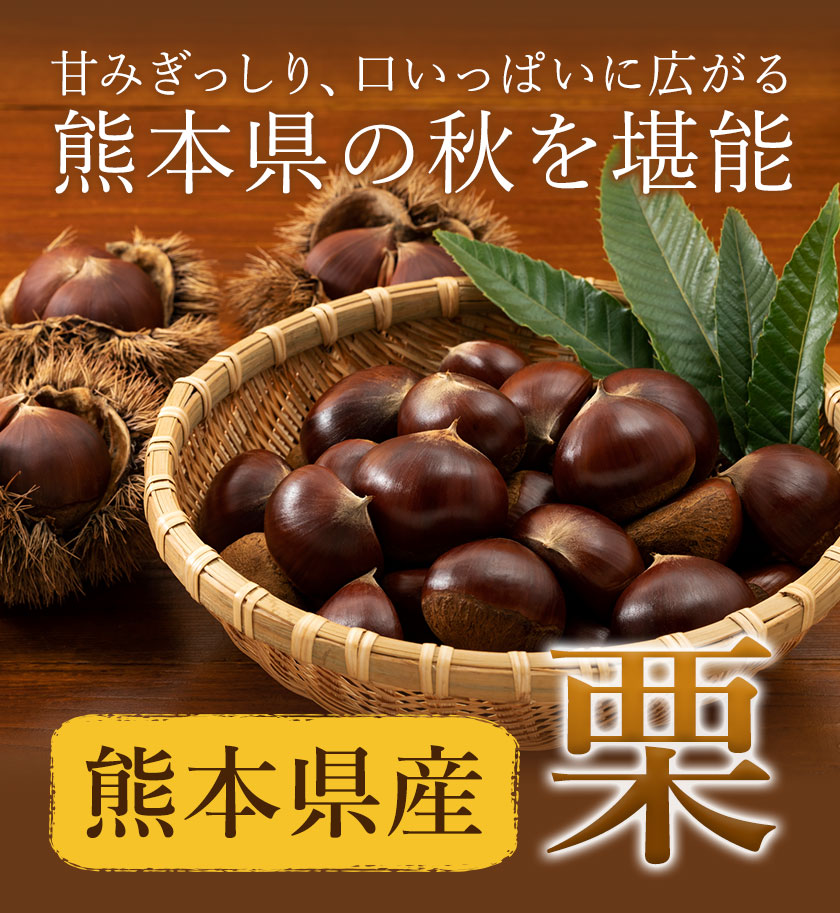 【先行予約】栗 約3kg 2Lサイズ 日本フルーツ株式会社《9月上旬-10月上旬頃出荷》熊本県 菊池市 栗 くり 熊本県産 2L 栗きんとん 栗ごはん---308-0007---