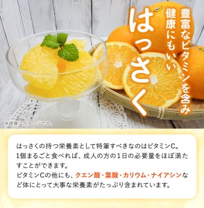 【先行予約】八朔 約10kg(3L-Lサイズ)JAわかやま 紀の里地域本部 《2027年1月上旬-3月末頃出荷》 和歌山県 紀の川市 果物 フルーツ 柑橘 はっさく