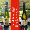 【ふるさと納税】【酒商　おまっとう】げっしょう・嵯峩酒　720ml×2本セット| 日本酒 お酒 地酒 純米大吟醸 飲み比べ 祝米 げっしょう 嵯峩酒 720ml×2 お取り寄せ グルメ ご当地 ギフト お祝い 内祝い おまっとう 京都府 京都市