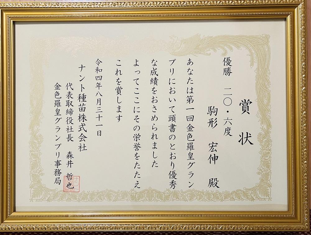 【2026年7月下旬〜8月上旬順次発送予定】糖度日本一・金賞W受賞 金色羅皇  最高級南魚沼八色産黄色スイカ「こまがた家の八色のスイカ」プレミアム大玉 1玉