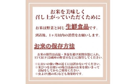 【定期便】【玄米】さがびより５kg×６回 B560