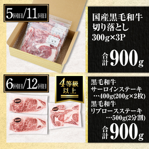 isa585 【定期便12回】満足贅沢 牛肉定期便(合計9.3kg超) 肉 牛肉 霜降り すきやき しゃぶしゃぶ 牛しゃぶ サーロイン リブロース ステーキ 冷凍 ロース カタロース 肩ロース BBQ
