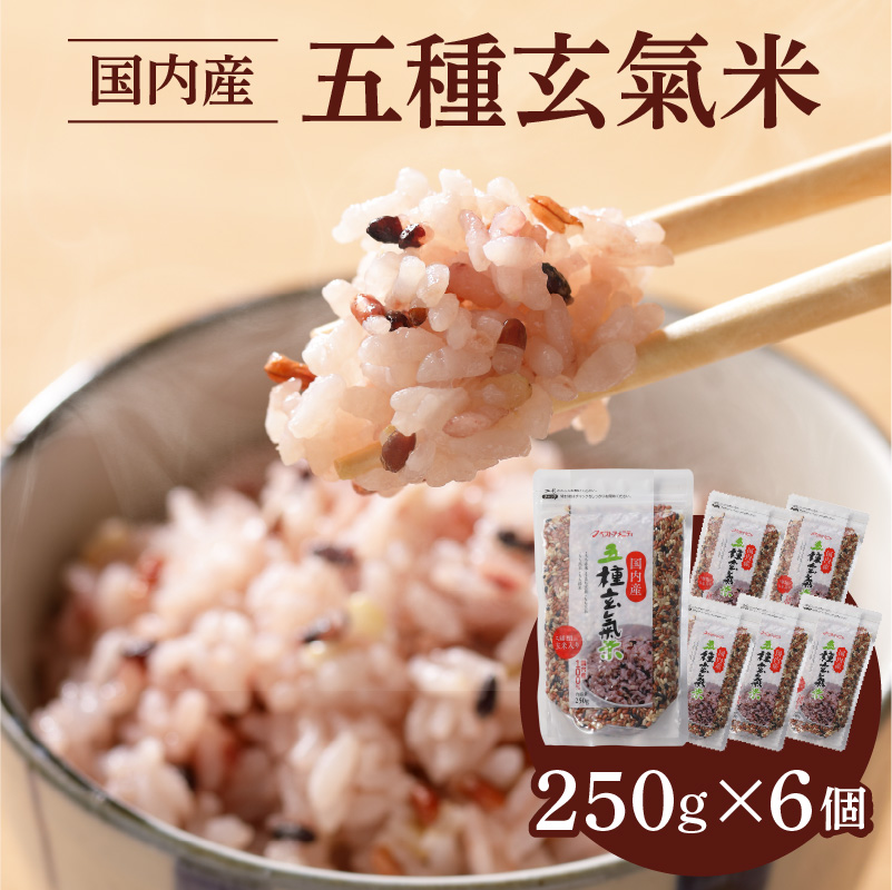 国内産 五種玄氣米 250g×6個 計1500g_国内産 五種玄氣米 250g×6個 お届け回数 1回 玄米 ブレンド 雑穀米 もち赤米 うるち玄米 もち玄米 もち黒米 もち緑米 プチプチ もちもち 混ぜて炊くだけ 冷めても美味しい 主食 おにぎり 弁当 食卓 華やか 福岡県 久留米市 送料無料_Gr010