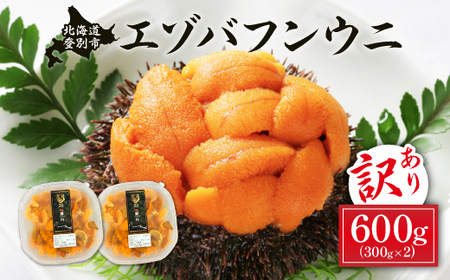 ≪規格外品600g≫無添加エゾバフンウニ塩水パック600g ≪配送期間B≫10月下旬～11月下旬迄【ウニ ｳﾆ うに 雲丹 ｴｿﾞﾊﾞﾌﾝｳﾆ エゾバフンウニ バフンウニ ﾊﾞﾌﾝｳﾆ 塩水 塩水パック パック詰 パック 折詰 無添加】 