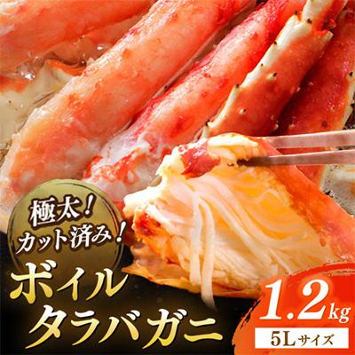 ふるさと納税 京丹後市 【極太!カット済み】ボイルタラバガニ5Lサイズ(1.2kg)かに鍋や焼きガニにも最適なごちそう