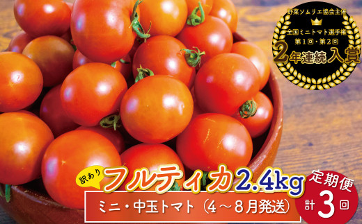 【4月～8月頃発送】＜約2.4kg×3回 定期便＞訳あり アイメック フルティカ トマト ましまファーム ミニトマト フルーツトマト  ワケあり 規格外 ＜2026年4月以降発送＞