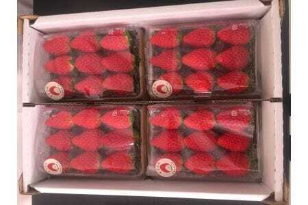 《2026年産先行予約》「西脇市産 佐藤果実工房 あまクイーン」（約270g×４パック 約1080g）【佐藤果実工房 全国いちご選手権3年連続上位入賞農園 TVで紹介!】令和８年２月下旬配送分　12-