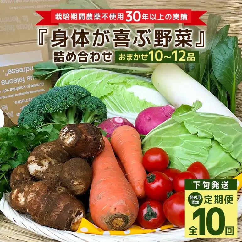 ＜発送月固定定期便＞『身体が喜ぶ野菜』詰め合わせ ( おまかせ 10～12品) 定期便 野菜 詰合せ 下旬発送全10回 詰め合わせセット お任せ 野菜定期便 季節の野菜 セット 有機栽培 EM農法 産