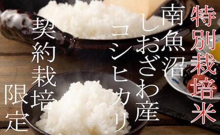 【令和7年産】【定期配送5Kg×6ヶ月】特別栽培 生産者限定  南魚沼しおざわ産コシヒカリ【2025年10月上旬より順次発送予定】