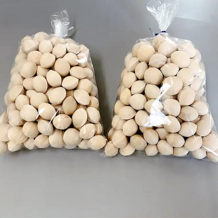【 先行予約 】10月上旬以降発送 銀杏 ぎんなん 約1kg 殻付き Lサイズ 小分け