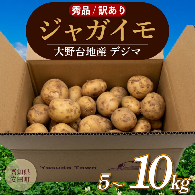 【ふるさと納税】 選べる 秀品 訳あり じゃが芋 春デジマ じゃがいも 馬鈴薯 5kg ～ 10kg 新鮮 掘りたて 掘り立て ほりたて 産地直送 農家直送 野菜 やさい カレー ポテト サラダ じゃがバター 新じゃが 訳あり 不揃い 高知県 安田町 ykー0010all