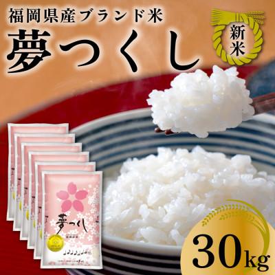 ふるさと納税 田川市 令和7年産 福岡県産米 夢つくし 合計30kg(5kg×6袋)(田川市)