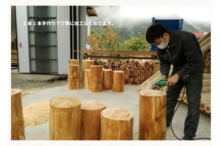 木製 丸太ステップ階段（５本セット） 防腐加工済 国産材 環境配慮 外遊び 屋外 アスレチック 遊具 公園 庭