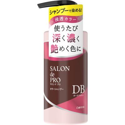 ふるさと納税 稲沢市 ダリヤ　サロン　ド　プロ　カラーシャンプー 《ダークブラウン》3個セット |  | 01