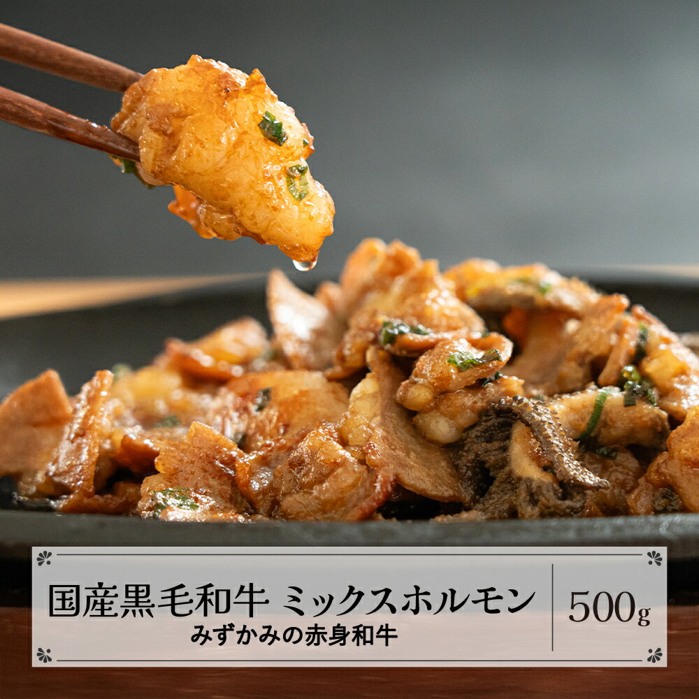 【ふるさと納税】みずかみの赤身和牛 ミックスホルモン 500g 肉 牛 牛肉 赤身 国産 黒毛和牛 和牛 焼肉 水上畜産 送料無料 mz-wgmhx500