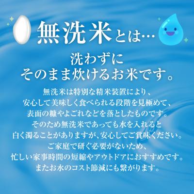 ふるさと納税 八代市 【令和7年産】 熊本県産 無洗米 熊本ひのひかり 5kg (5kg×1袋)_132-5123-B |  | 03