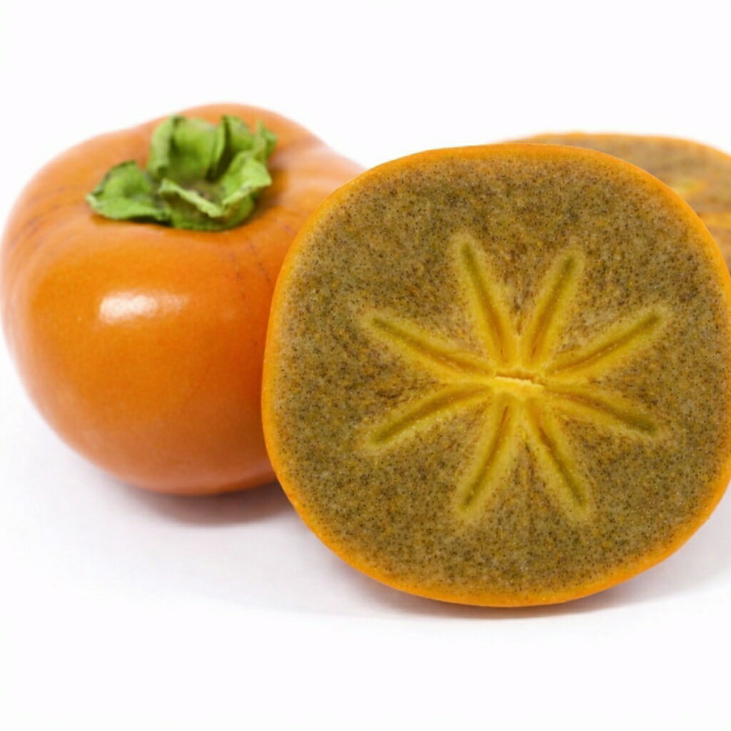 【ふるさと納税】 和歌山県紀北地方の特産品！紀の川柿(約4kg)【10月中旬～11月中旬発送】