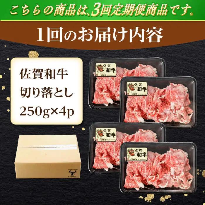 【定期便】牛肉切り落とし 計1kg NAC165 牛肉切り落とし 全3回