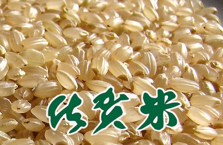 ＜玄米＞佐賀東与賀産シギの恩返し米（特別栽培米夢しずく）10kg：B270-012