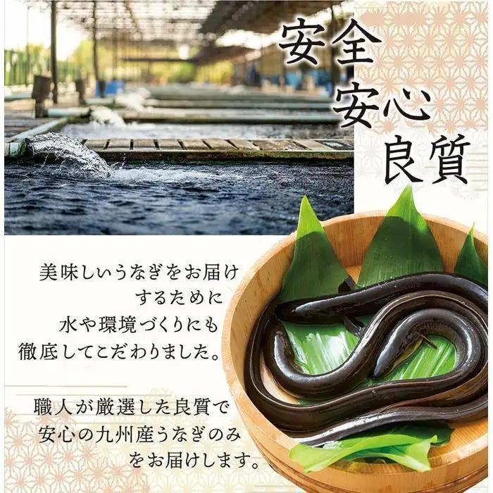 国産 うなぎ蒲焼 4尾 約700g