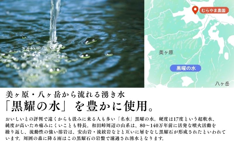 こしひかり 3kg 米 塩田平の「晴米」 コシヒカリ こしひかり 精米