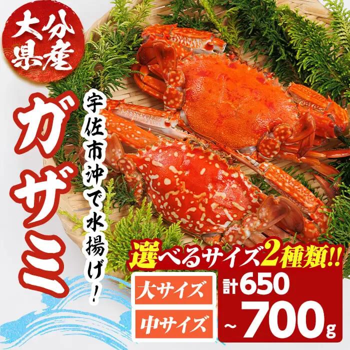 あおがざみ(計650g~700g・中サイズ) ワタリガニ　蟹 ボイル 海鮮 かに 冷凍 【101901900】【上野水産】