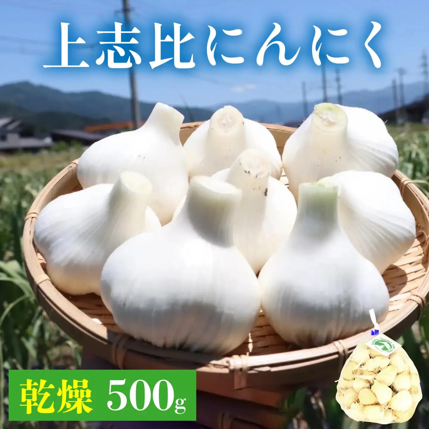 永平寺町産 乾燥 上志比にんにく 500g ニンニク ホワイト 国産