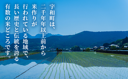 【先行予約】＜令和8年産 愛媛県西予市産 コシヒカリ 10kg＞ 通常 お米 コメ こめ 白米 精米 ご飯 新鮮 10キロ 愛媛県産 宇和町産 こしひかり 特産品 もとき農園 愛媛県 西予市【常温】『